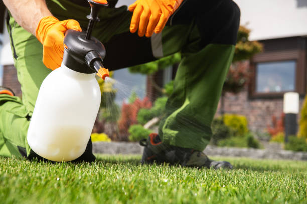 Best Affordable Pest Control Services  in East Porterville, CA